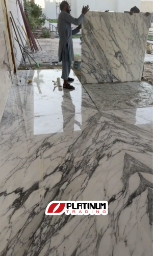 رخام ستاتواريو إيطالي أبيض بعروق طبيعية للمشاريع السكنية الفاخرة